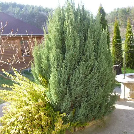Apartmán Rigofeszek Vendeghaz *
