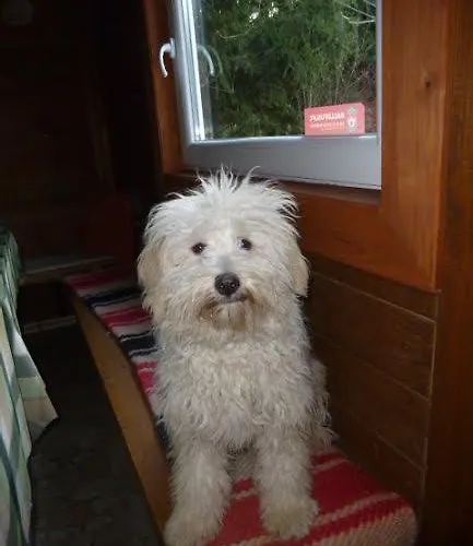 Rigofeszek Vendeghaz Apartamento Mátraszele