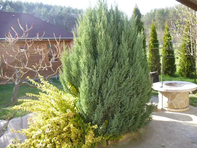 Apartamento Rigofeszek Vendeghaz *